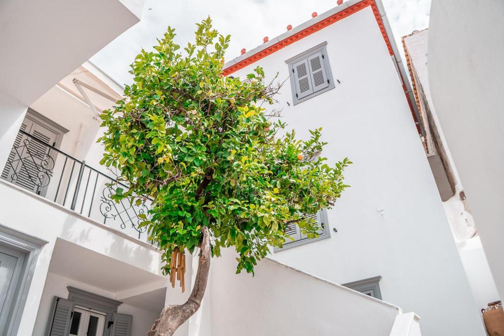 Lemon Tree - Hydra Dream Houses Bagian luar foto